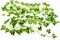 84Feet 12 Strands Artificial Flowers Greenery Fake Hanging Vine Plants
